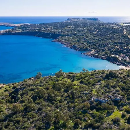 Konnos Blue *